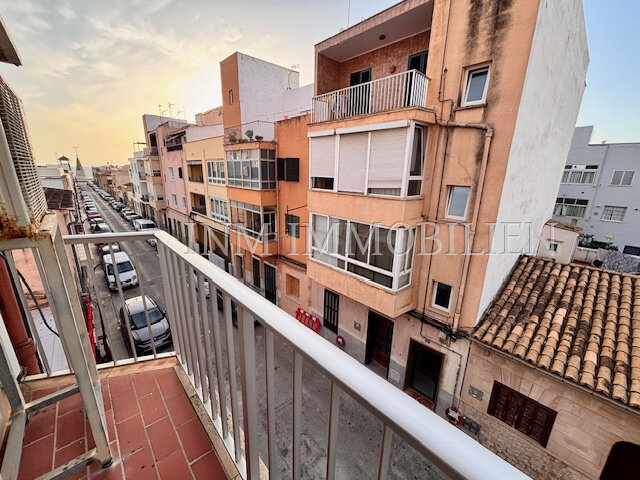 Wohnung zum Kauf provisionsfrei 435.000 € 4 Zimmer 80 m²<br/>Wohnfläche 2.<br/>Geschoss Palma 07007