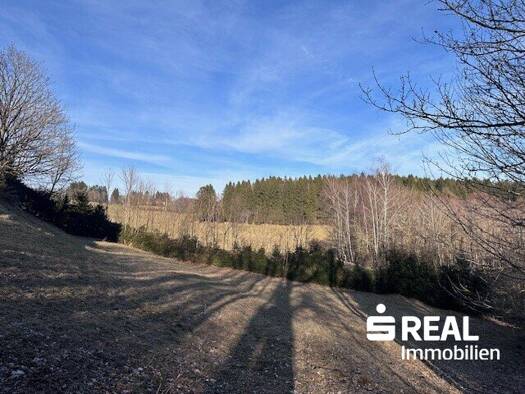 Grundstück zum Kauf 210.000 € 1.176 m² Grundstück Althellmonsödt 4202