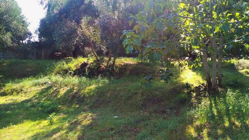 Land-/Forstwirtschaft zum Kauf 90.000 € 2.020 m² Grundstück Korfu
