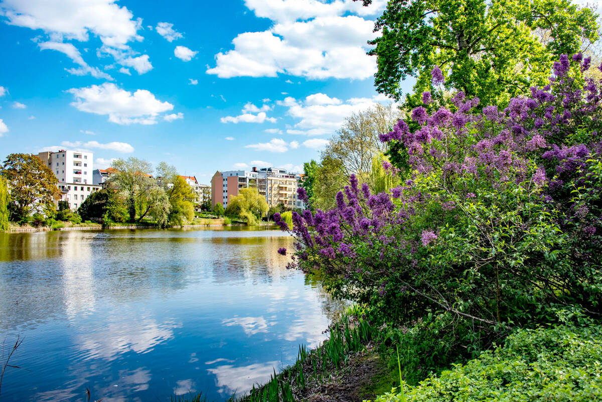 Property thumbnail 15