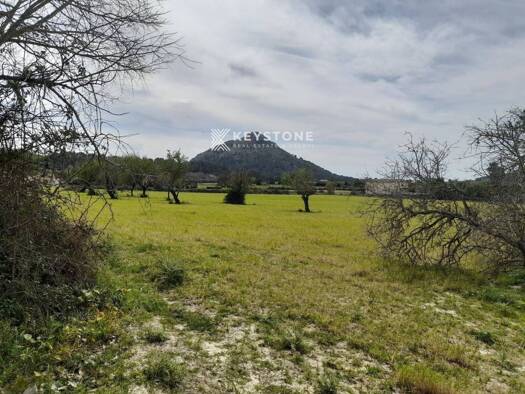 Acker-/Waldstück zum Kauf 989.000 € Alcúdia 07400