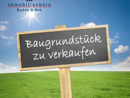 Grundstück zum Kauf 200.000 € 3.000 m² Grundstück Mittelstenthüle Friesoythe 26169