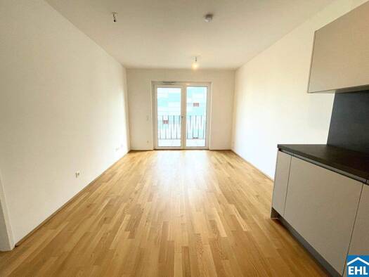 Wohnung zur Miete 797 € 2 Zimmer 67,2 m² 3. Geschoss frei ab sofort Schöpfleuthnergasse Wien 1210