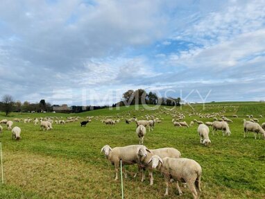 Grundstück zum Kauf 325.000 € 650 m² Grundstück Auerbach Horgau 86497