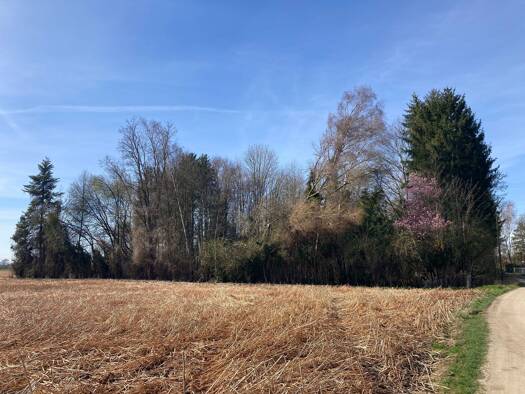 Grundstück zum Kauf 170.000 € 6.838 m² Grundstück frei ab sofort Derching Friedberg-Derching 86316