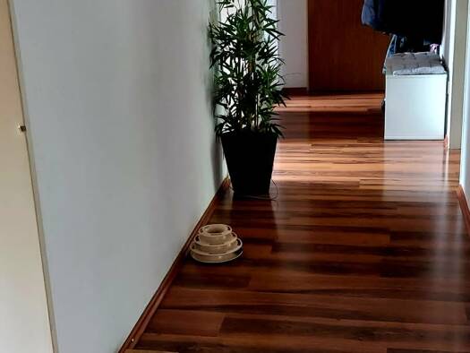 Wohnung zur Miete 1.039 € 4 Zimmer 113 m² 1. Geschoss frei ab 01.06.2026 Untermainbach Rednitzhembach 91126