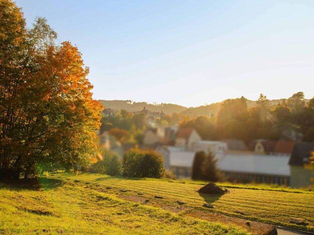 Grundstück zum Kauf provisionsfrei 30.000 € 2.374,3 m² Grundstück Sebnitz 01855