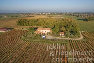 Land-/Forstwirtschaft zum Kauf 1.200.000 € 178.340 m² Grundstück Castiglione del Lago 06061