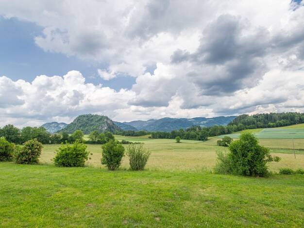 Grundstück zum Kauf 79.500 € 1.185 m² Grundstück Völkermarkt 9100