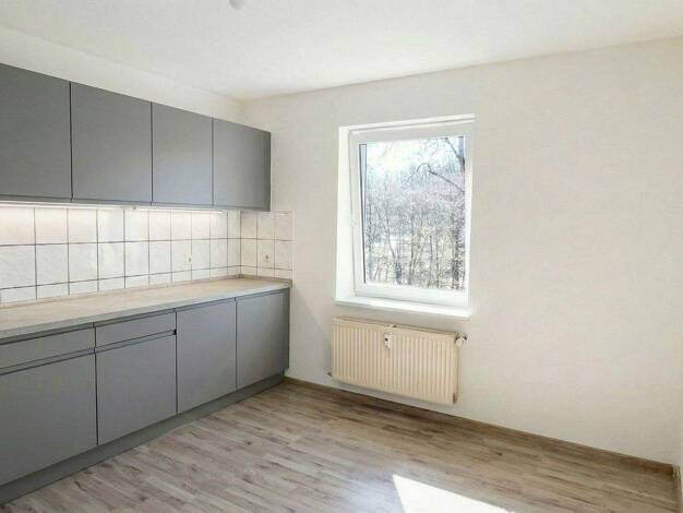 Wohnung zur Miete 490 € 3 Zimmer 66 m² 1. Geschoss frei ab sofort Billerbecker Straße 51 Kreiensen 37574