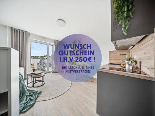 Studio zur Miete 400 € 1 Zimmer 24,4 m² 3. Geschoss Rogätzer Straße 87 Alte Neustadt Magdeburg 39106