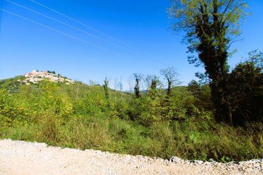 Land-/Forstwirtschaft zum Kauf 189.000 € Motovun center