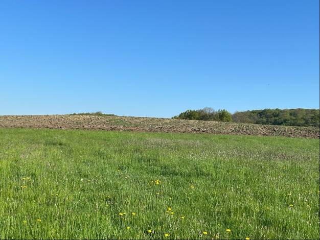 Land-/Forstwirtschaft zum Kauf 250.000 € 93.868 m² Grundstück Birtlingen 54634