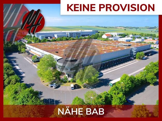 Halle/Industriefläche zur Miete provisionsfrei 7,30 € 17.000 m² Lagerfläche Mainz 55129