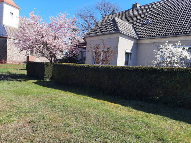 Einfamilienhaus zum Kauf provisionsfrei 195.000 € 6 Zimmer 180 m² 1.070 m² Grundstück Neukünkendorf Angermünde 16278