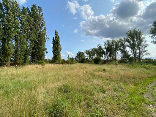Gewerbegrundstück zum Kauf 11.739 m² Grundstück Siedlung 10 Bülstringen Bülstringen 39345