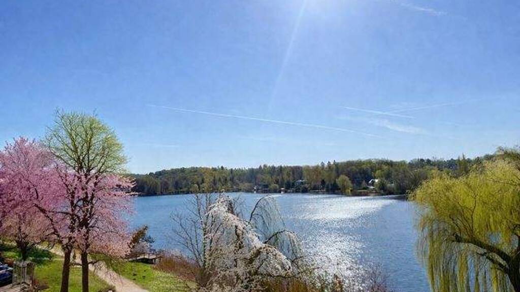 Wohnung zum Kauf 257.500 € 2 Zimmer 67,7 m² EG Mölln 23879