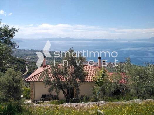 Einfamilienhaus zum Kauf 249.000 € 4 Zimmer 122 m² 3.440 m² Grundstück Kala Nera, Milies (Pilio) 370 10