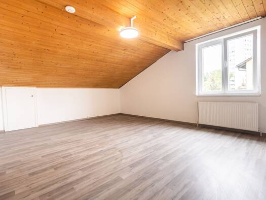 Wohnung zur Miete 17,17 € 1,5 Zimmer 46 m² 2 Geschosse frei ab sofort Ammianusstraße Bregenz 6900