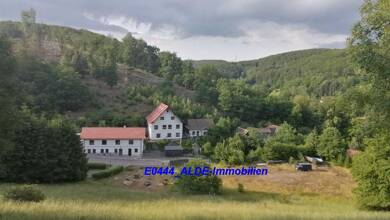 Mehrfamilienhaus zum Kauf als Kapitalanlage geeignet 495.000 € 7 Zimmer 490 m² 16.622 m² Grundstück Hayn Südharz 06493
