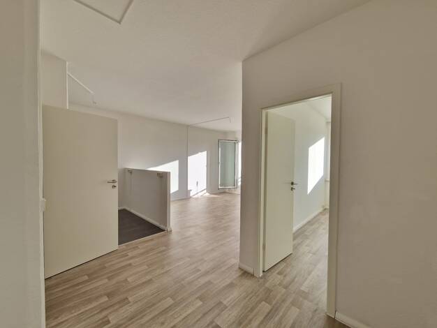 Wohnung zur Miete 254 € 3 Zimmer 56,3 m² 4. Geschoss Albert-Köhler-Straße 17 Morgenleite Chemnitz 09122