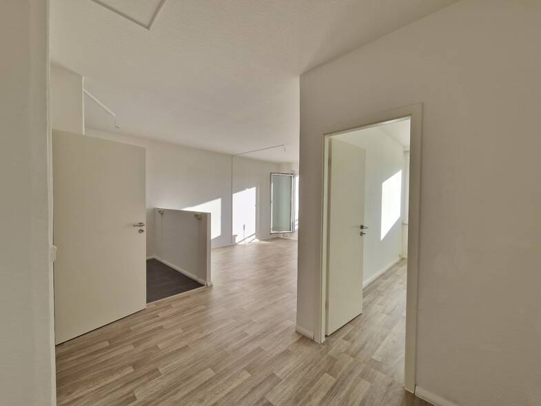 Wohnung zur Miete 254 € 3 Zimmer 56,3 m² 4. Geschoss Albert-Köhler-Straße 17 Morgenleite Chemnitz 09122