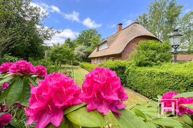 Einfamilienhaus zum Kauf 299.000 € 3 Zimmer 78 m² 1.078 m² Grundstück Muggesfelderheide Nehms 23813