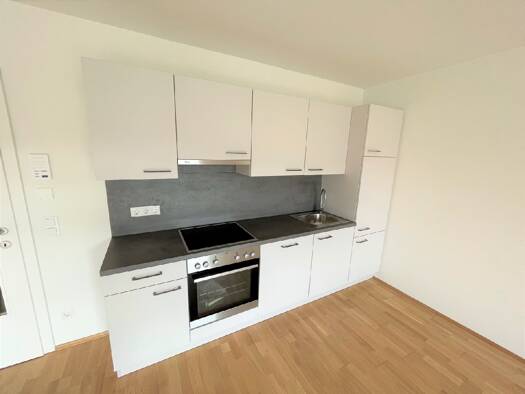 Wohnung zur Miete 534 € 2 Zimmer 54,6 m² Lend Graz 8020