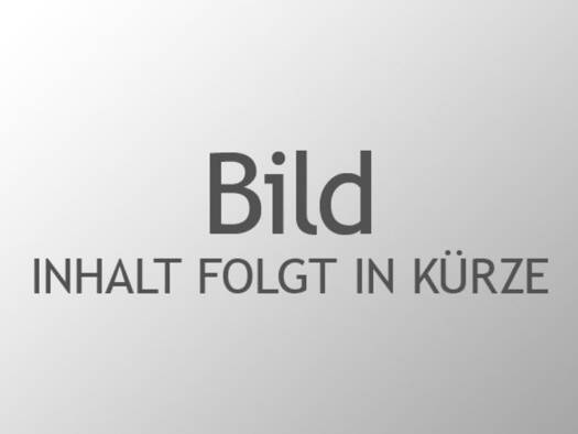 Wohnung zur Miete 590 € 2 Zimmer 40 m² frei ab 01.02.2027 Steinenbronn 71144