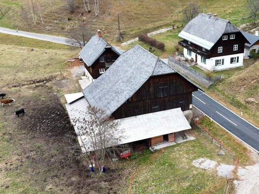 Bauernhof zum Kauf 890.000 € 223.004 m² Grundstück Arriach 9543