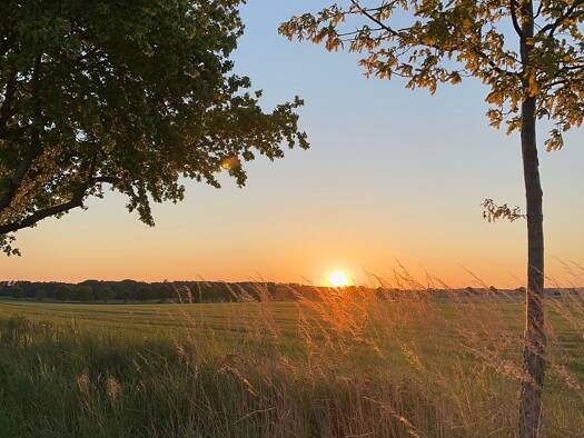 Freizeitgrundstück zum Kauf provisionsfrei als Kapitalanlage geeignet 92.000 € 400 m² Grundstück Am Eschenwald Göhren-Lebbin 17213