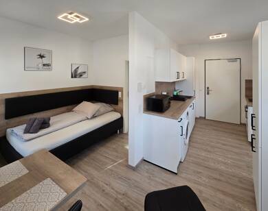 Studio zur Miete 645 € 1 Zimmer 17 m² Römerstr. 32 Obernburg Obernburg a.Main 63785