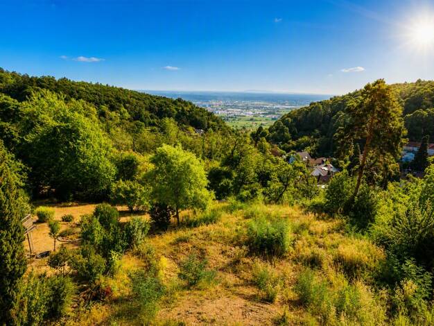 Grundstück zum Kauf 599.000 € 1.033 m² Grundstück Hambach Neustadt an der Weinstraße 67434