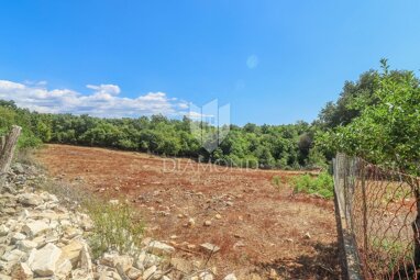 Land-/Forstwirtschaft zum Kauf 365.000 € Porec center 52440