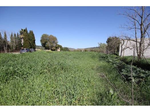 Acker-/Waldstück zum Kauf 19.000 € Petra 07520