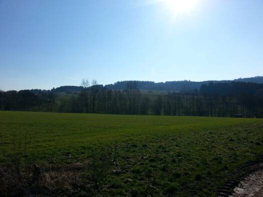 Landwirtschaftliche Fläche zum Kauf Mainz-Kostheim Wiesbaden 55246