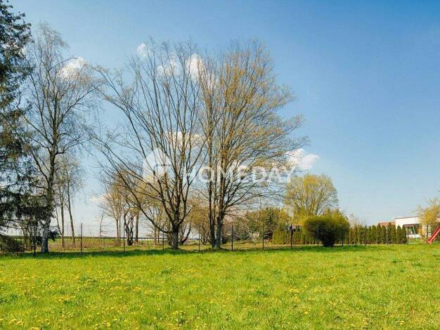 Grundstück zum Kauf 174.800 € 1.776 m² Grundstück Ebersdorf 96237