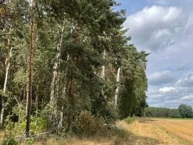 Grundstück zum Kauf provisionsfrei 224.000 € Weyerbusch 57635