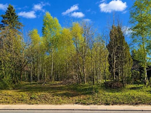 Grundstück zum Kauf 279.000 € 923 m² Grundstück Steinbeck Buchholz in der Nordheide 21244