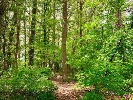 Einfamilienhaus zum Kauf 630.000 € 7,5 Zimmer 199 m² 512 m² Grundstück Pfeifferhütte Schwarzenbruck 90592