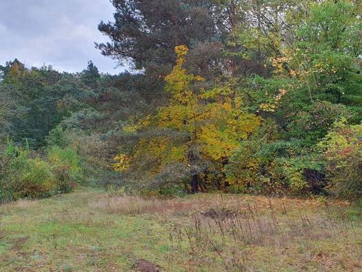 Grundstück zum Kauf 119.000 € 737 m² Grundstück Klein Köris Groß Köris 15746