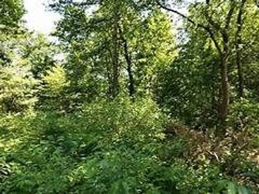 Grundstück zum Kauf 510.000 € 3.000 m² Grundstück frei ab sofort Wechte Tecklenburg 49525