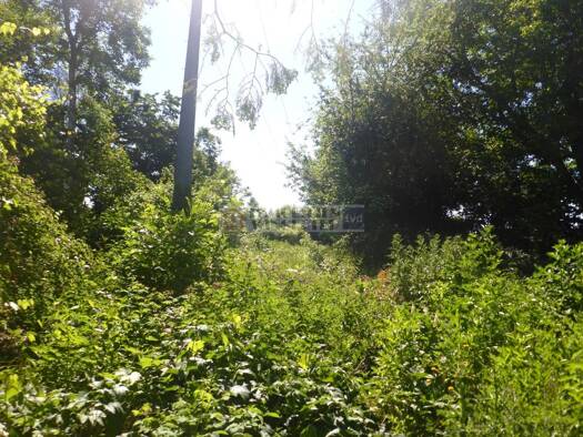 Grundstück zum Kauf 295.000 € 2.740 m² Grundstück Taimering Riekofen 93104