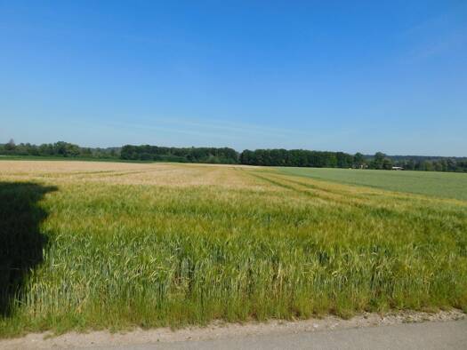 Landwirtschaftliche Fläche zum Kauf 55.000 € 6.451 m² Grundstück Auwiesenstraße Wehringen 86517