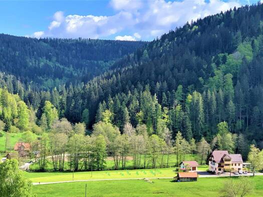 Hotel zum Kauf provisionsfrei 15 Zimmer 692 m² Gastrofläche 6.000 m² Grundstück Christophshof Bad Wildbad 75323