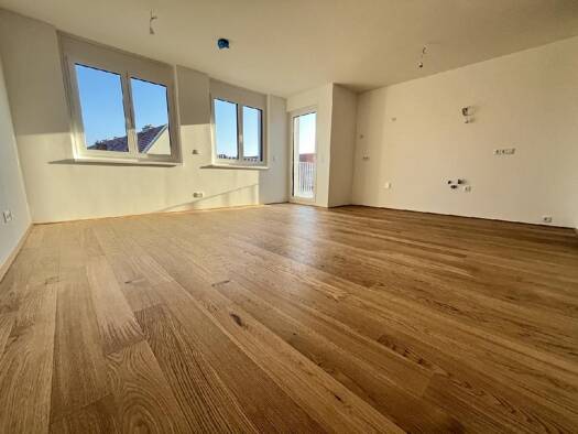 Wohnung zur Miete 949 € 2 Zimmer 52 m² Wien 1230