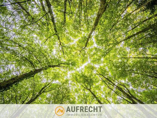 Land-/Forstwirtschaft zum Kauf provisionsfrei 7.190 m² Grundstück Volkersdorf Jetzendorf 85305