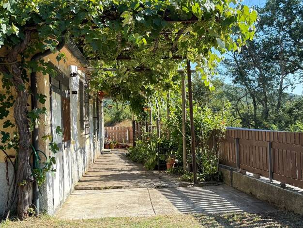 Mehrfamilienhaus zum Kauf 150.000 € 6 Zimmer 150 m² 10.000 m² Grundstück Massa Marittima 58024