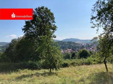 Grundstück zum Kauf 1.394 m² Grundstück Schmalkalden Schmalkalden 98574