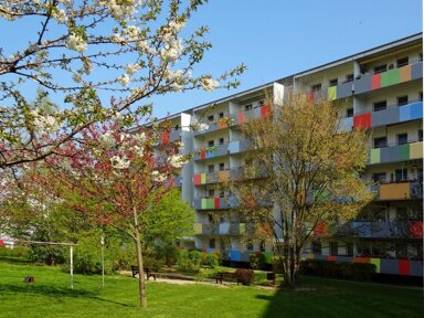 Wohnung zur Miete 220 € 1 Zimmer 27 m² 3. Geschoss Käthe-Kollwitz-Straße 20 Heidenau 01809